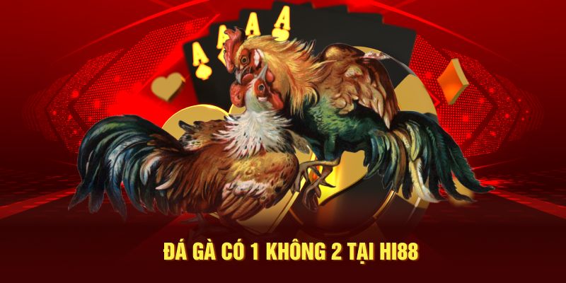 Đá gà có 1 không 2 tại Hi88